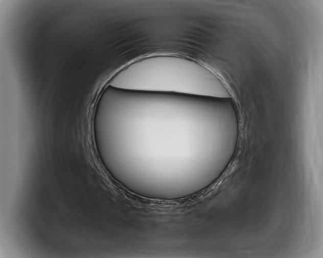X0000099470337200805090818