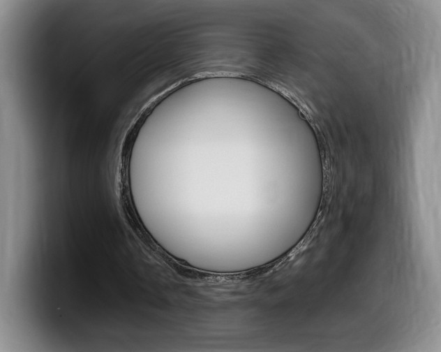 X0000099470338200805090818