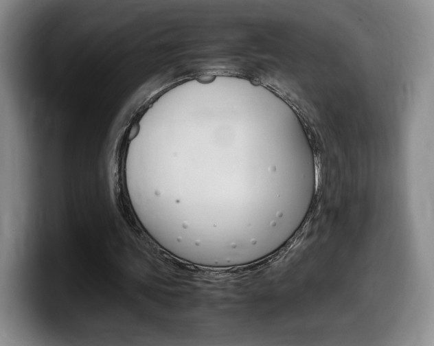 X0000099470339200805090818