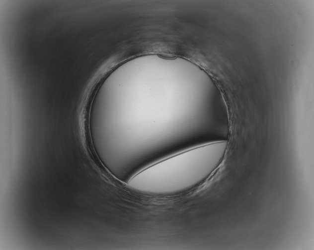 X0000099470341200805090818