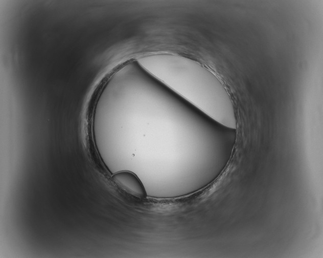 X0000099470342200805090818