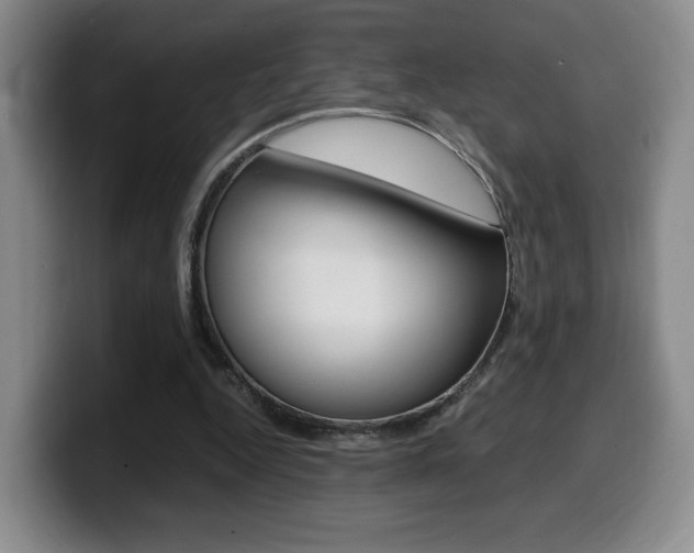 X0000099470344200805090818
