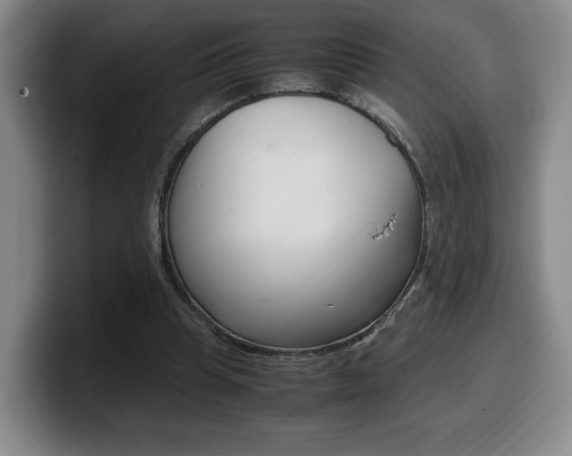 X0000099470345200805090818
