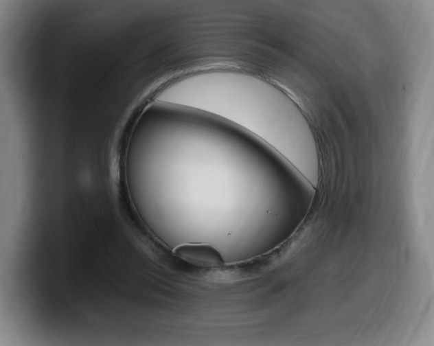 X0000099470350200805090818