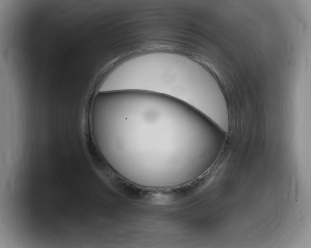 X0000099470352200805090818