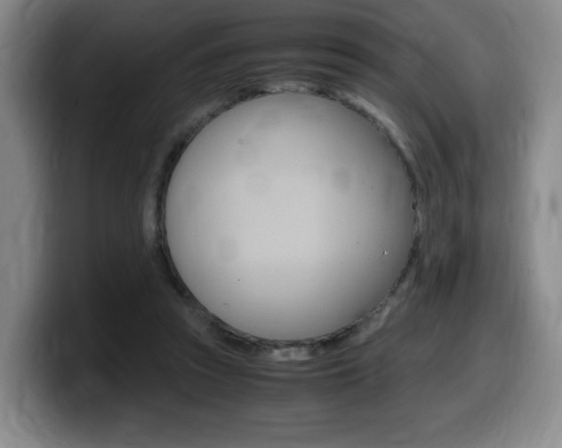 X0000099470353200805090818