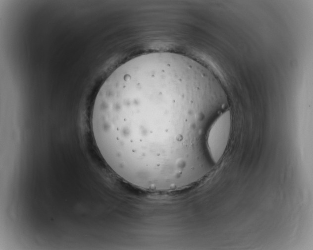X0000099470354200805090818