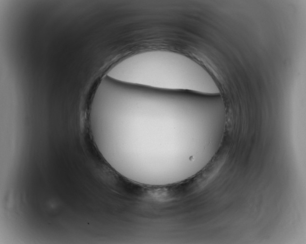 X0000099470355200805090818