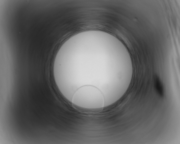 X0000099470356200805090818
