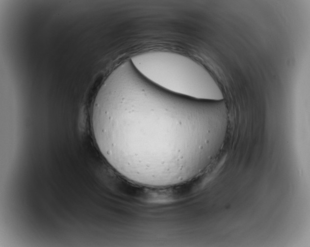 X0000099470359200805090818