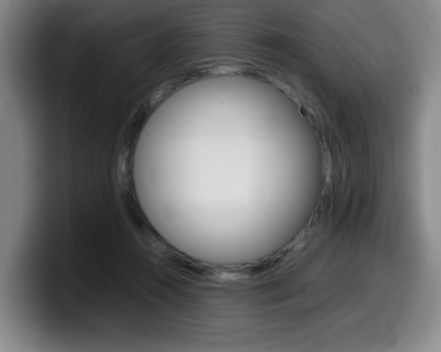 X0000099470360200805090818