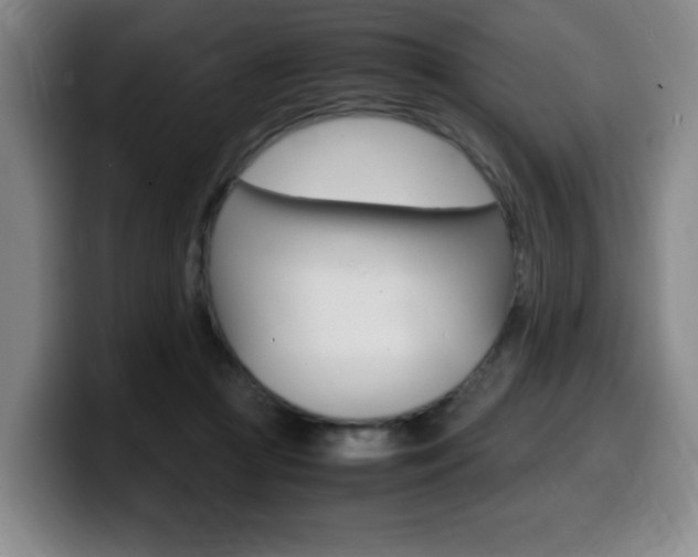 X0000099470361200805090818