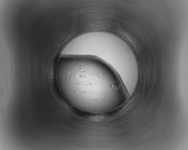 X0000099470362200805090818
