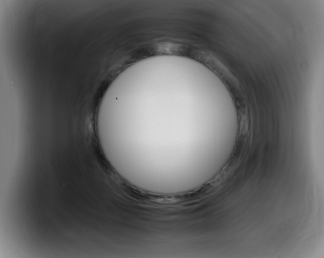 X0000099470363200805090818