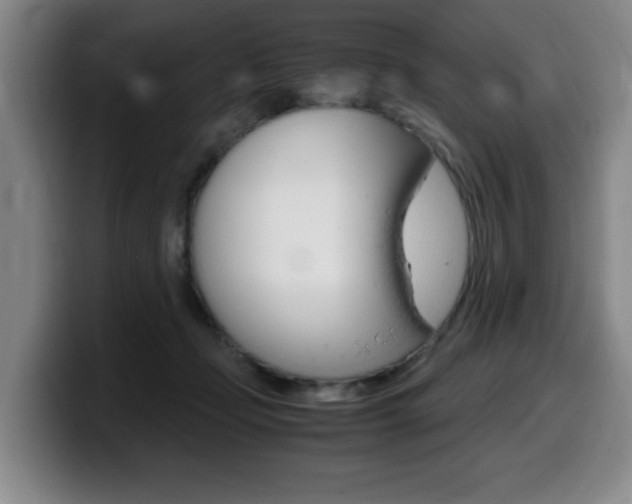 X0000099470365200805090818