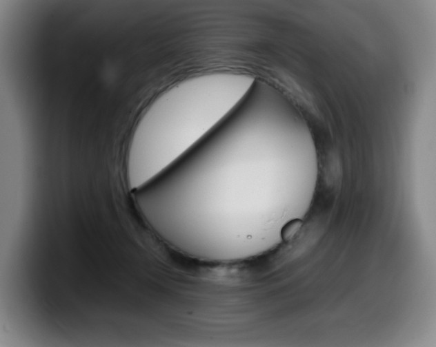 X0000099470366200805090818