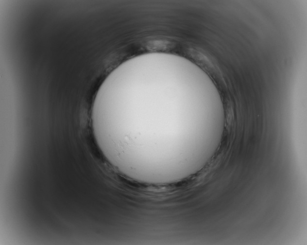 X0000099470367200805090818