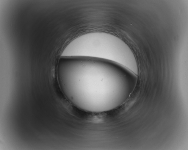 X0000099470368200805090818