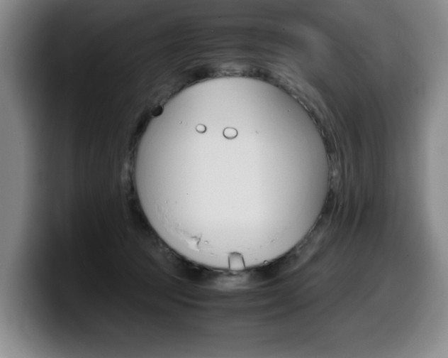 X0000099470369200805090818