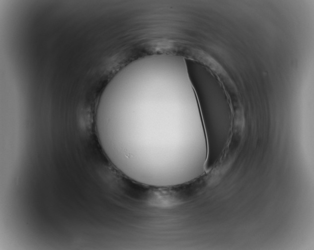 X0000099470372200805090818