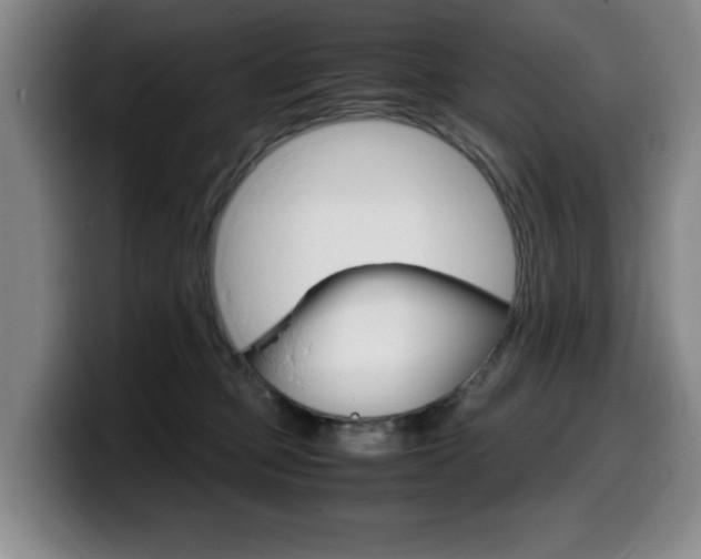 X0000099470373200805090818