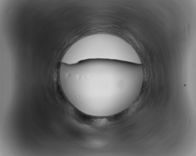 X0000099470374200805090818