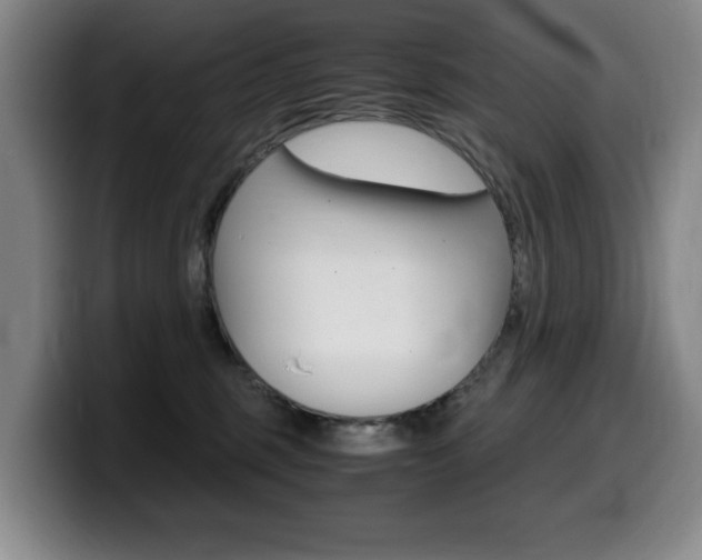 X0000099470375200805090818