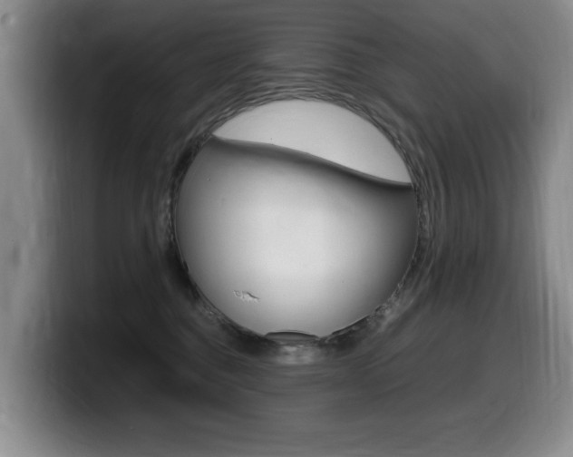 X0000099470376200805090818