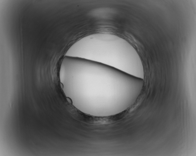 X0000099470377200805090818
