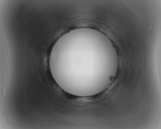 X0000099470378200805090818