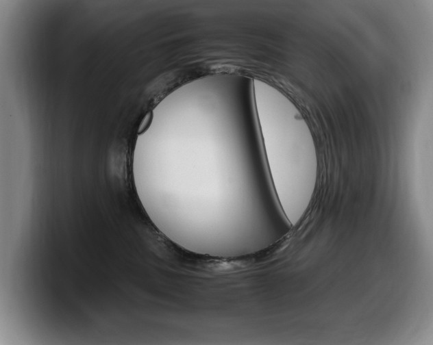 X0000099470379200805090818