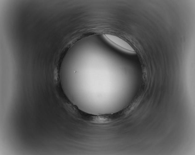 X0000099470380200805090818