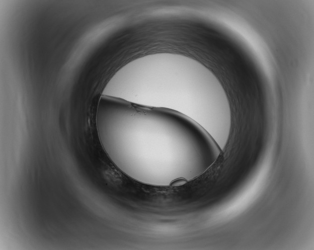 X0000099470382200805090818