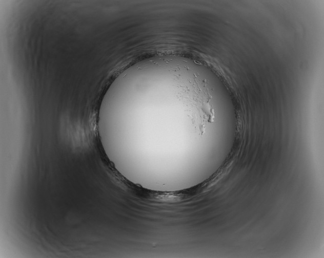 X0000099470383200805090818