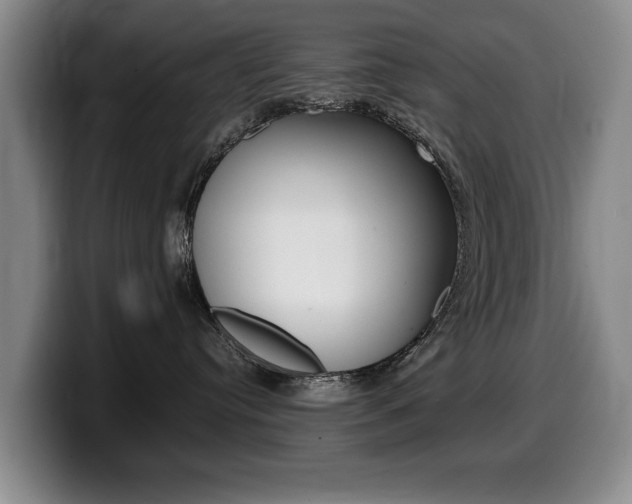 X0000099470384200805090818