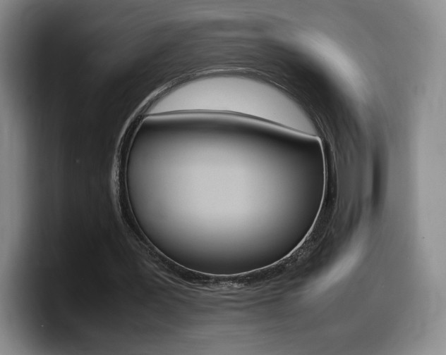 X0000099470387200805090817