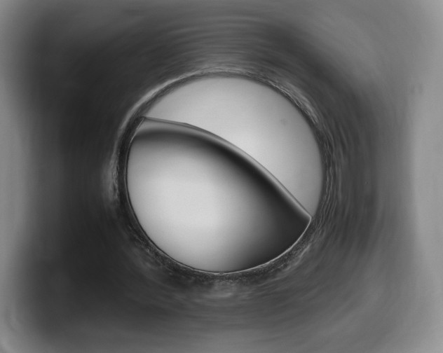 X0000099470388200805090817