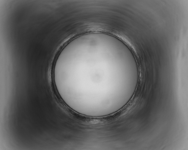 X0000099470390200805090817