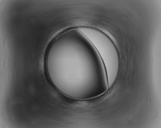 X0000099470391200805090817