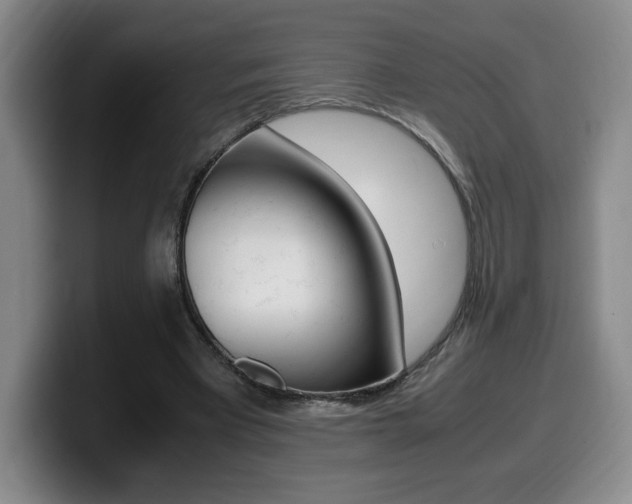 X0000099470393200805090817