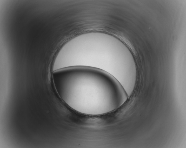 X0000099470397200805090817