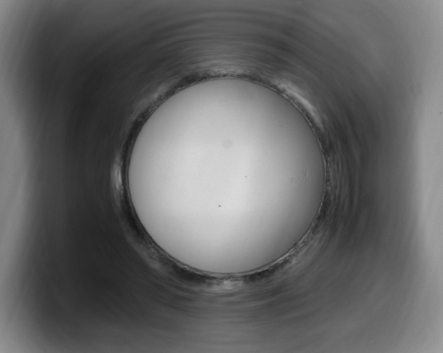 X0000099470398200805090817