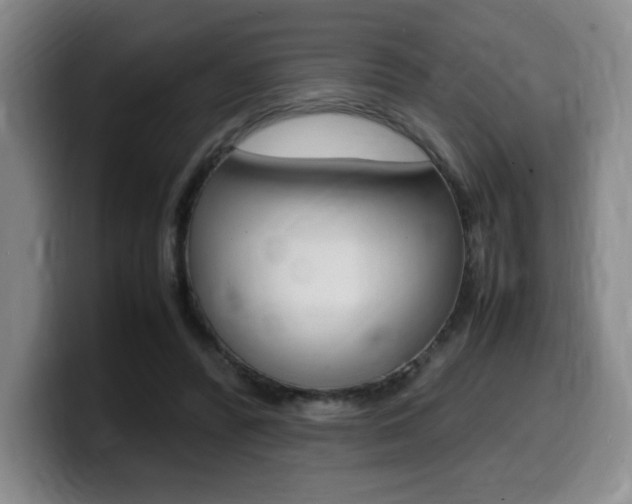 X0000099470400200805090817