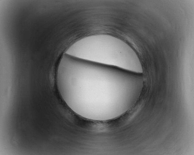 X0000099470402200805090817