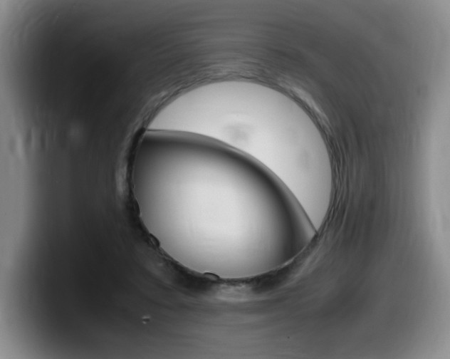 X0000099470403200805090817