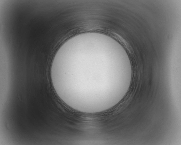 X0000099470405200805090817
