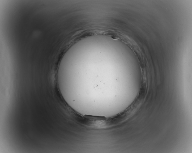 X0000099470409200805090817