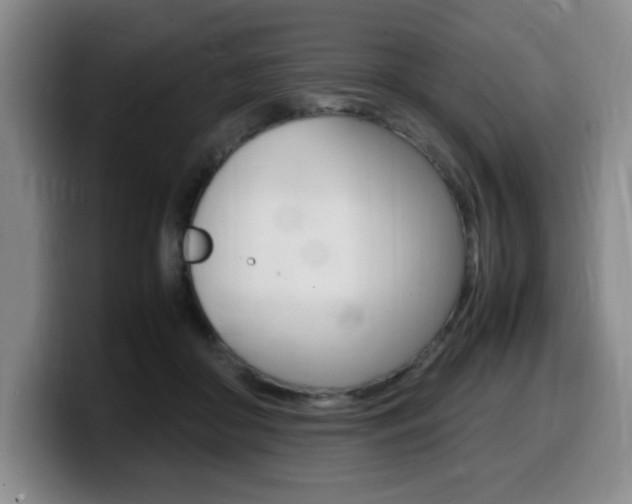 X0000099470410200805090817