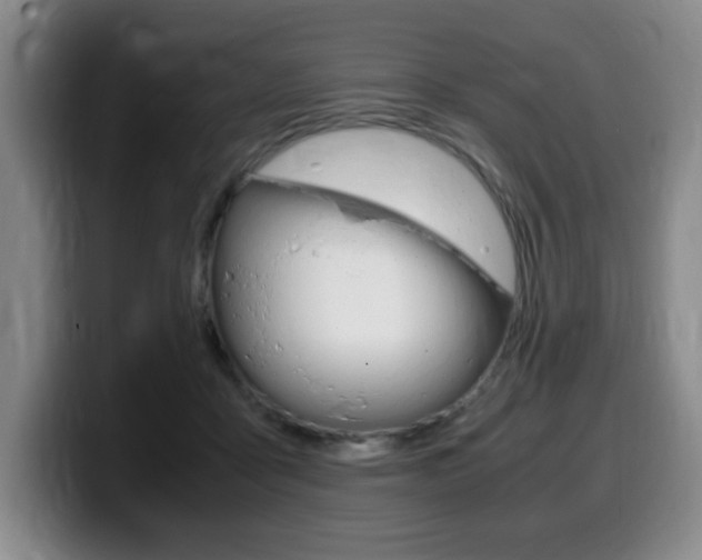 X0000099470411200805090817