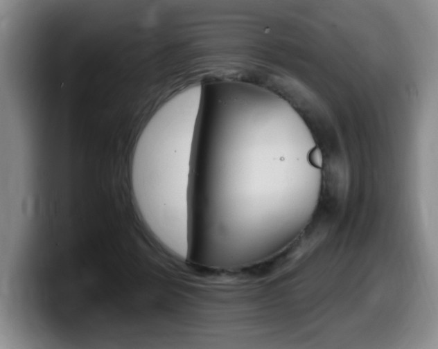 X0000099470412200805090817